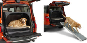 Эксперты составили топ-10 самых необычных опций для автомобилей